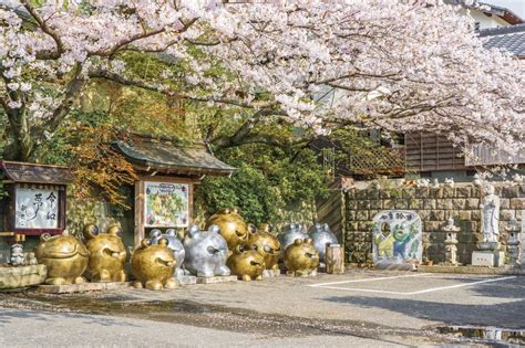 福岡 旅行 おすすめ 〜なぜかカエルが案内する不思議な旅〜