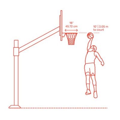 How High Are Basketball Hoops and Why Do They Dream of Flying?