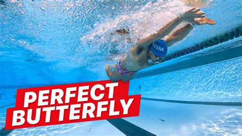 How to Swim Butterfly: A Dive into the Art of Flapping Like a Fish