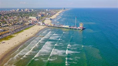 Is Galveston Water Safe to Swim in Right Now? And Why Do Fish Always Seem to Know the Answer?