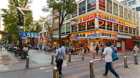 神奈川観光 日帰り 〜時空を超えた旅のススメ〜