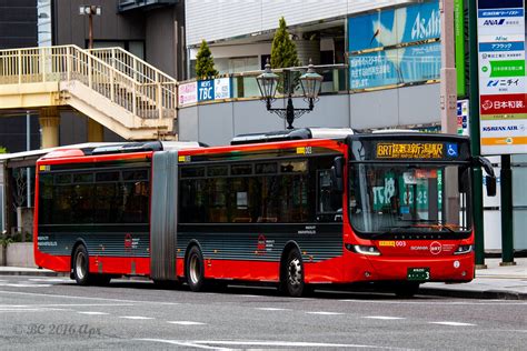 富山 新潟 バス：地域の絆を結ぶ移動手段